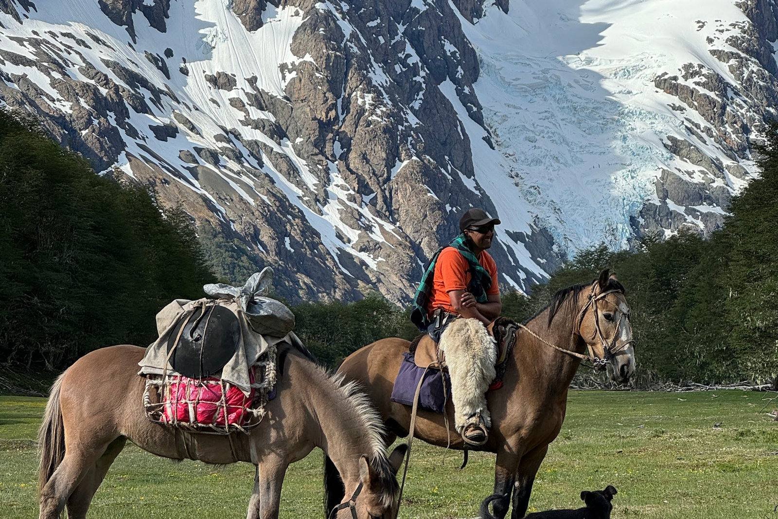 Pack horses and camp on a multi-day expedition